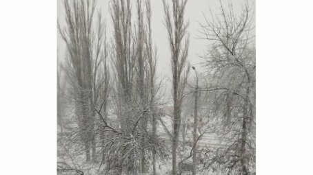 В Саратове введены ограничения из-за штормового ветра