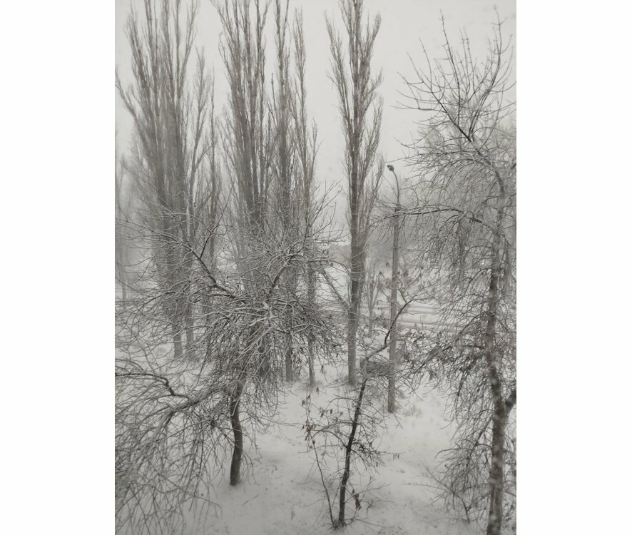 В Саратове введены ограничения из-за штормового ветра