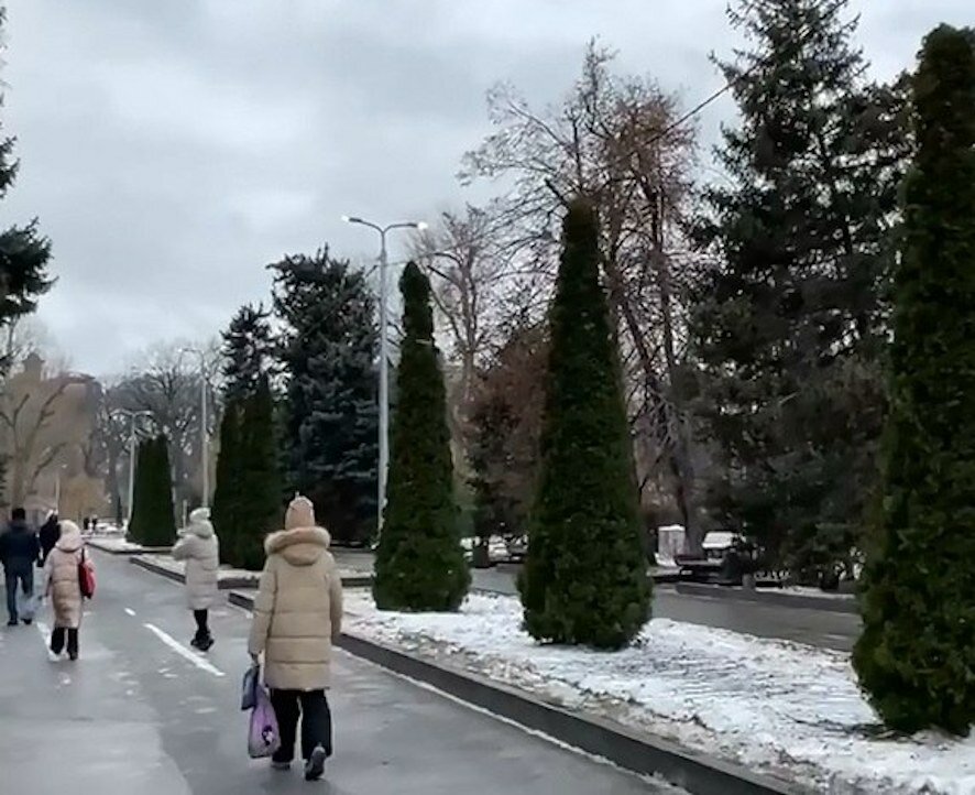 В городском парке Саратова зажглось новое освещение