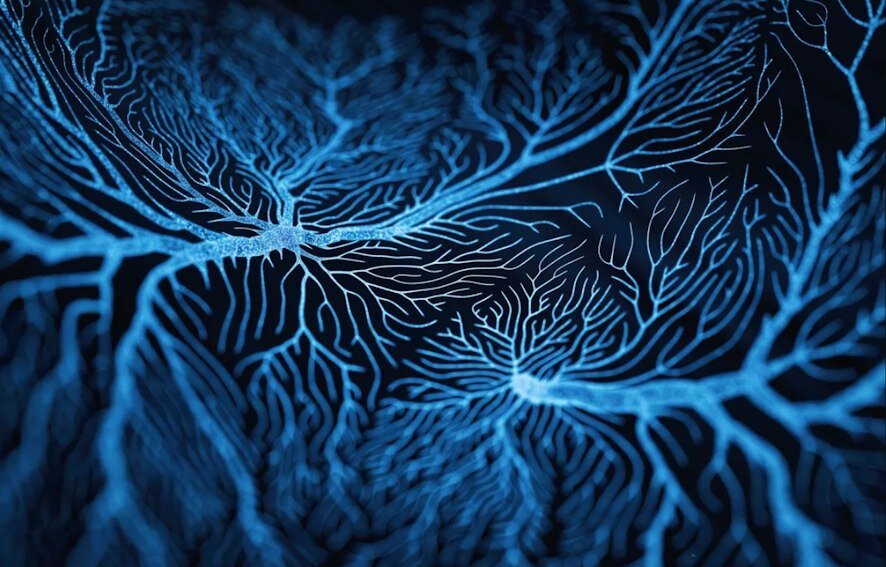 Мозг мужчины стареет быстрее, но деменция выбирает женщин: Как наука объясняет этот парадокс