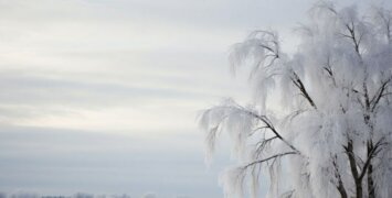 Холодный расчет: Как отличить просто замерзшие щеки от обморожения, ведущего к ампутации. Инструкция