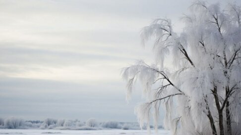 Холодный расчет: Как отличить просто замерзшие щеки от обморожения, ведущего к ампутации. Инструкция