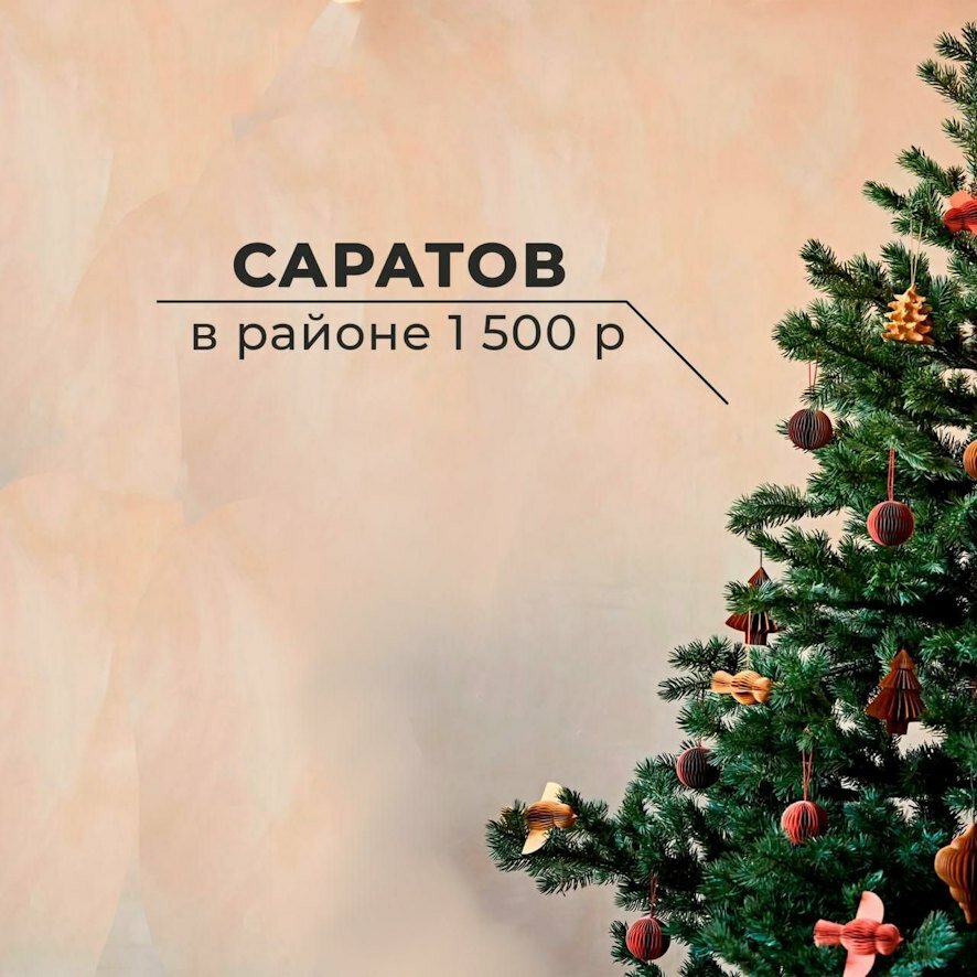 Новогодняя ёлка обойдётся саратовцам в три раза дешевле, чем в Москве