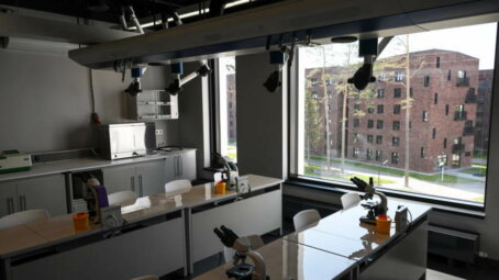 Современные университетские кампусы появятся в регионах