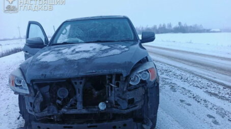 Фронтовая сводка Олега Царева на утро 29 декабря