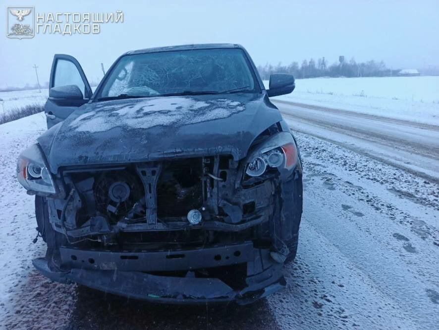 Фронтовая сводка Олега Царева на утро 29 декабря
