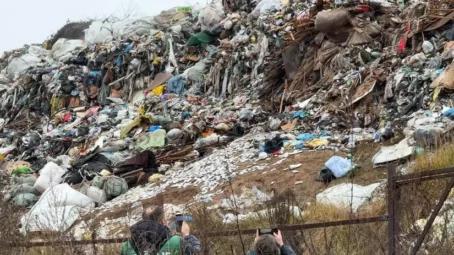 «ЗЕЛЁНЫЕ» предупредили о пяти системных угрозах для экологии России