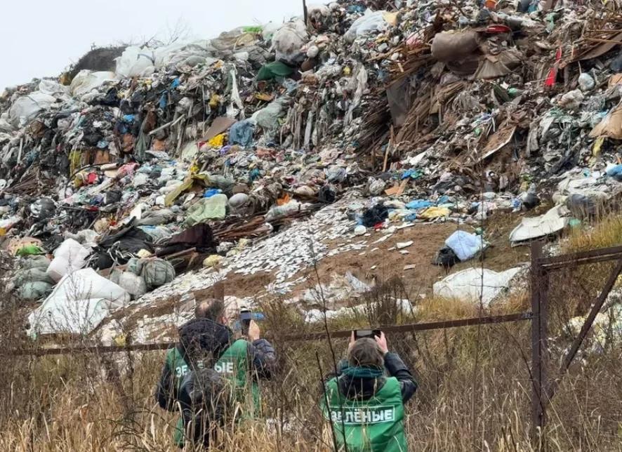 «ЗЕЛЁНЫЕ» предупредили о пяти системных угрозах для экологии России