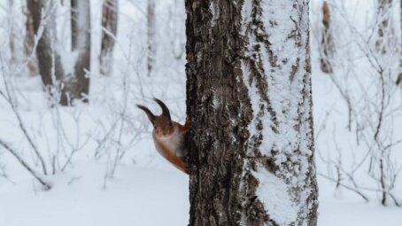 На новой экотропе в Ленинском районе Саратова прошло экологическое мероприятие для школьников