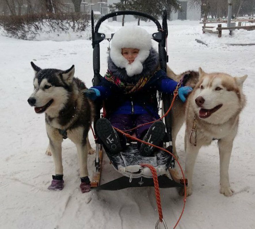 Зима в Саратове: жители делятся снежными фотографиями