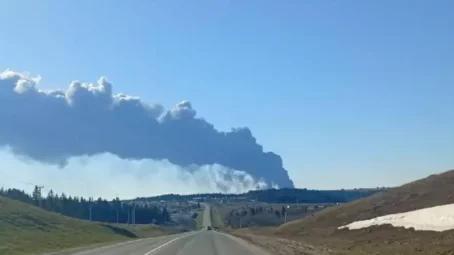 Фронтовая сводка Олега Царева на утро 30 апреля 2026 года