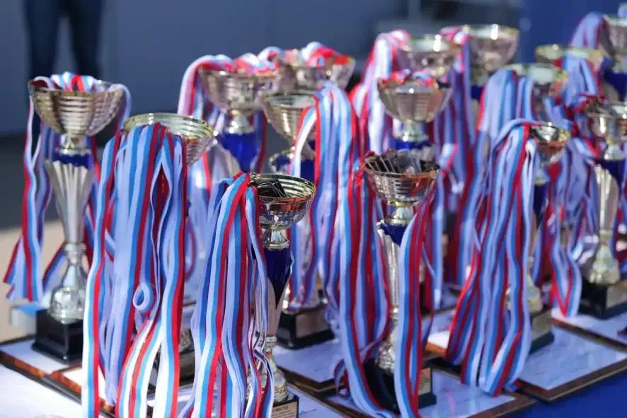 Саратовские спортсмены, показавшие отличные результаты получат дополнительную поддержку