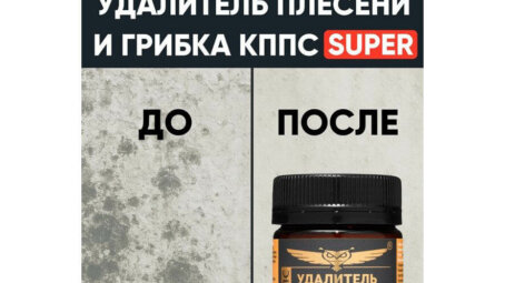 Плесень летом: эксперты объяснили, почему грибок появляется даже в сухую погоду
