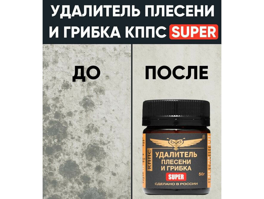 Плесень летом: эксперты объяснили, почему грибок появляется даже в сухую погоду
