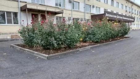 На сегодняшний день в порядок привели территории 17 больниц, участвующих в региональной программе по обустройству дворов медучреждений Саратовской области