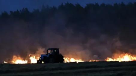 Фронтовая сводка Олега Царева на утро 29 июня