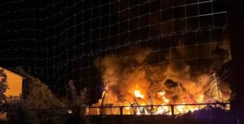 Фронтовая сводка к вечеру 24 июля