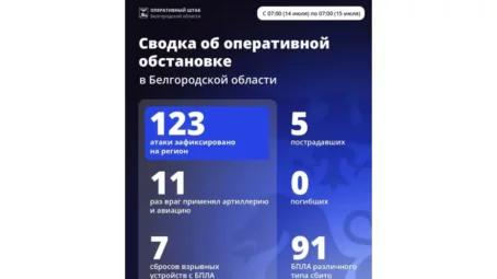 За минувшие сутки ВСУ 123 раза атаковали территорию Белгородской области