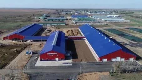 АО «Племенной завод «Мелиоратор», в Саратовской области реализовало крупный инвестпроект в молочном скотоводстве