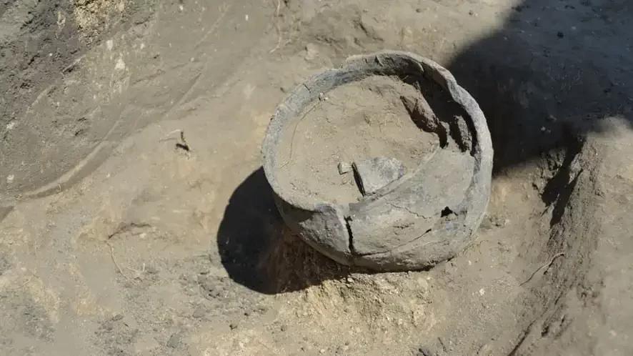 Ежегодно поселение эпохи бронзы в Нижней Красавке Аткарского района становится местом полевой практики студентов-историков СГУ