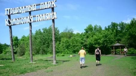 На Кумысной поляне Саратове проводится дератизация
