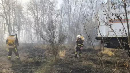Лесопожарная обстановка у села Лох в Саратовской области стабилизирована