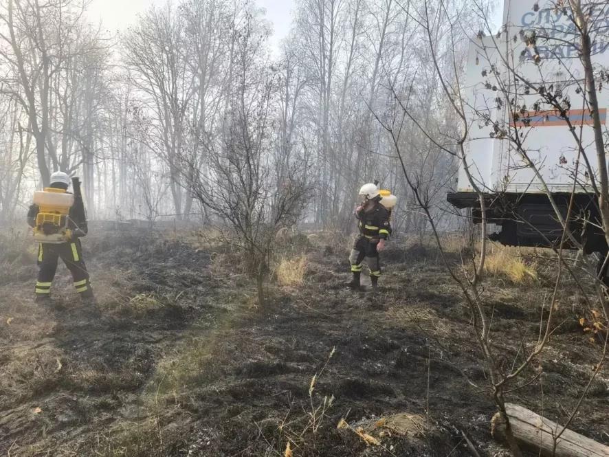 Лесопожарная обстановка у села Лох в Саратовской области стабилизирована